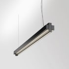 Delta Light - ONE-AND-ONLY P20 DOWN-UP 930 DIM5 GC-B