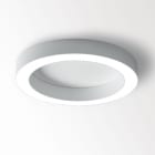 Delta Light - SUPER-OH! XS 39 DIM8 W