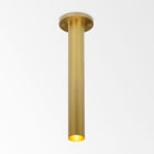 Delta Light - NEEDLE 1 92733 FG