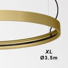 Delta Light - SUPERLOOP HC 350 MDL FG