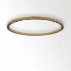 Delta Light - INFORM R1 DOWN 93048 FG-B