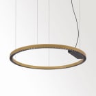 Delta Light - INFORM R1+ DOWN-UP 92748 DIM5 FG-B