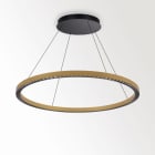 Delta Light - INFORM R1+ CS DOWN 93048 DIM5 FG-B