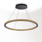 Delta Light - INFORM R1+ CS DOWN-UP 92748 DIM5 FG-B