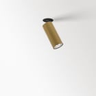 Delta Light - SPY 39 TRIMLESS IN 92740 GC
