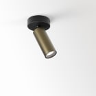 Delta Light - SPY 39 ON SOFT 93020 BROB