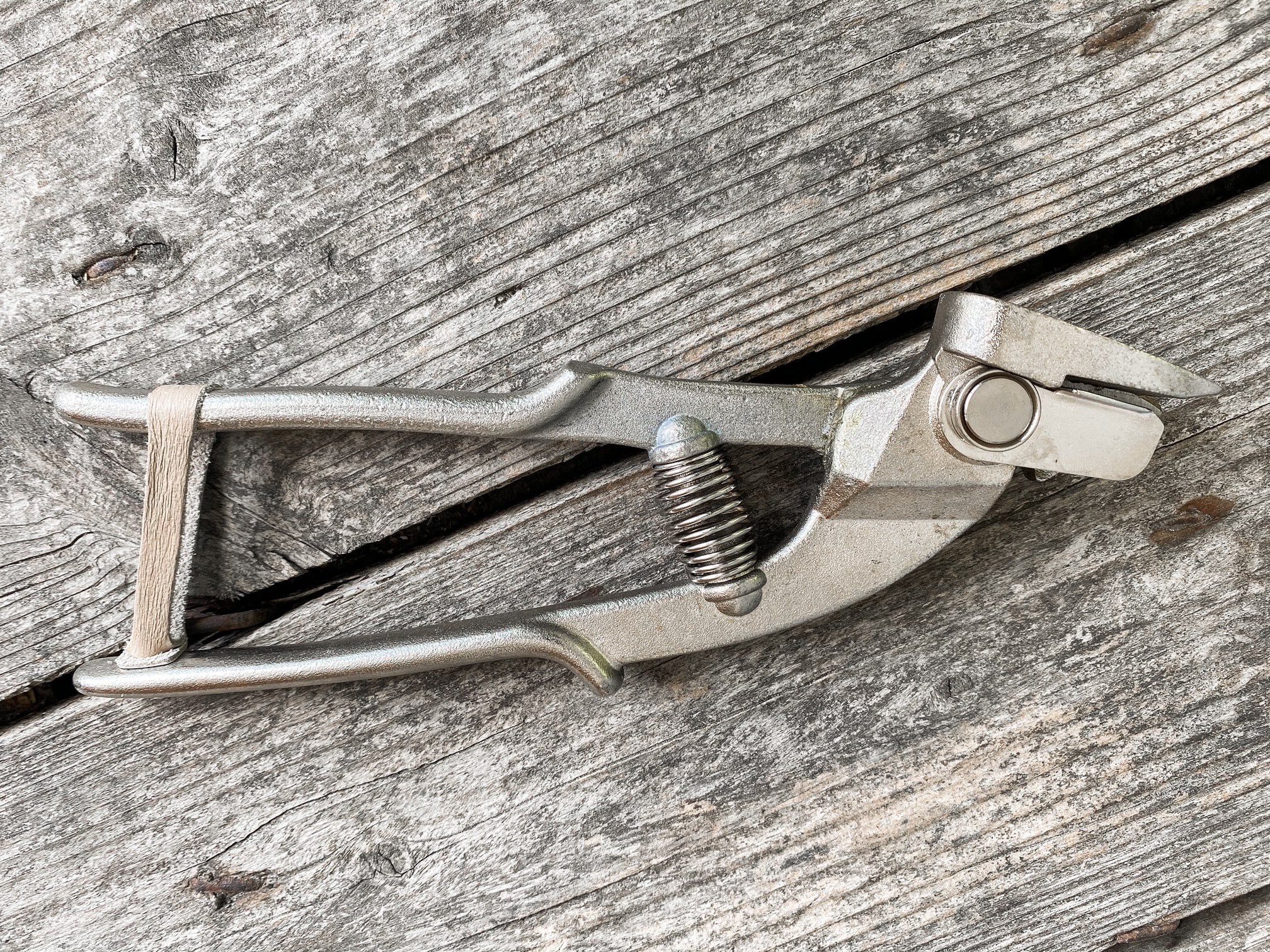 Petit Jean - Cisaille pour installation de feuillard