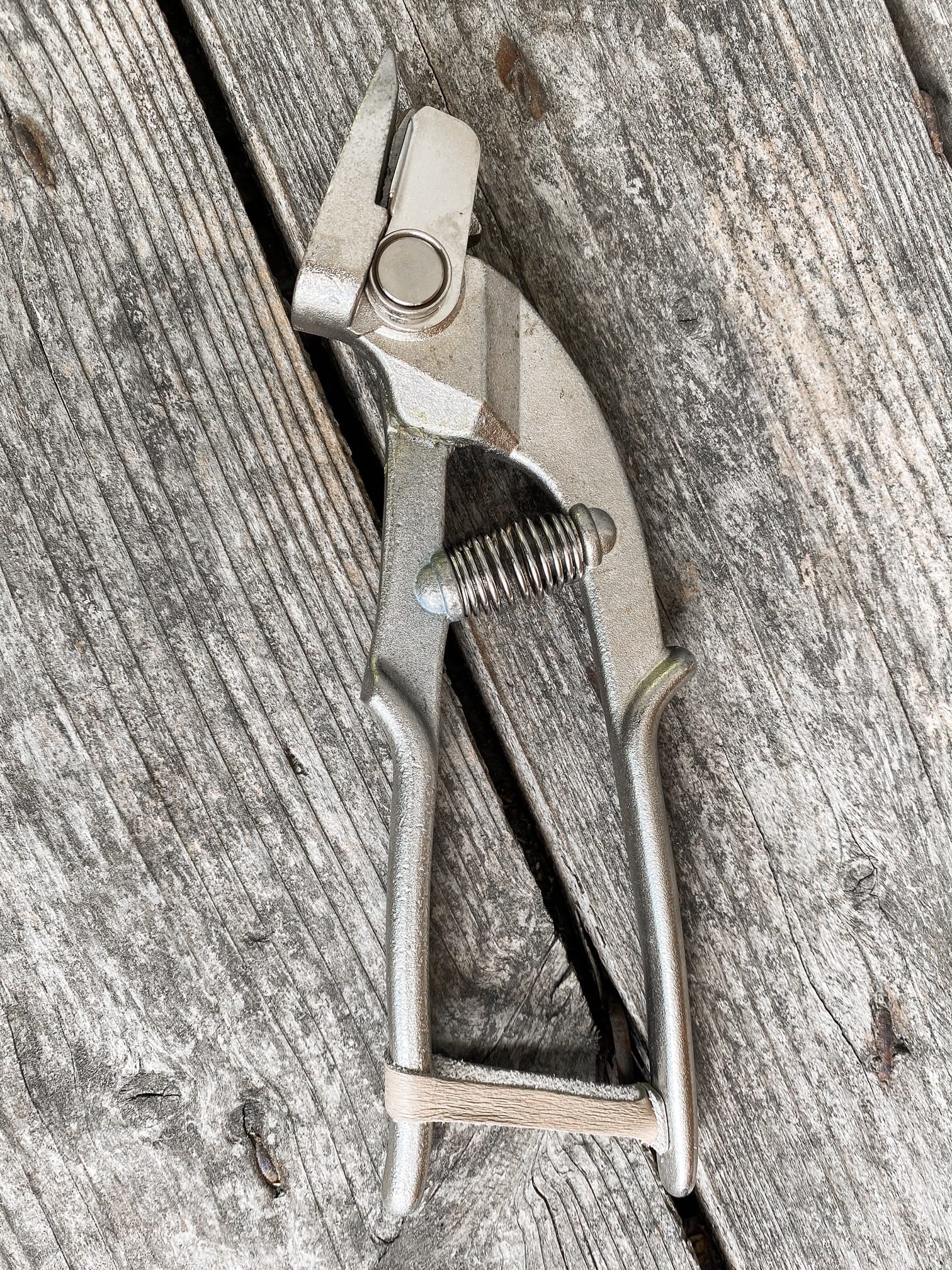 Petit Jean - Cisaille pour installation de feuillard