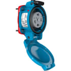 Marechal - PN Prise F EDF Plastique Bleu IP66/67 2P+T 16A-30A 24V AC Couvercle à Rappel