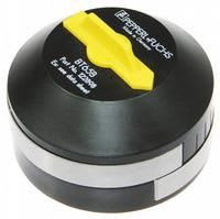 Pepperl Fuchs - Inductifs autres BT65B