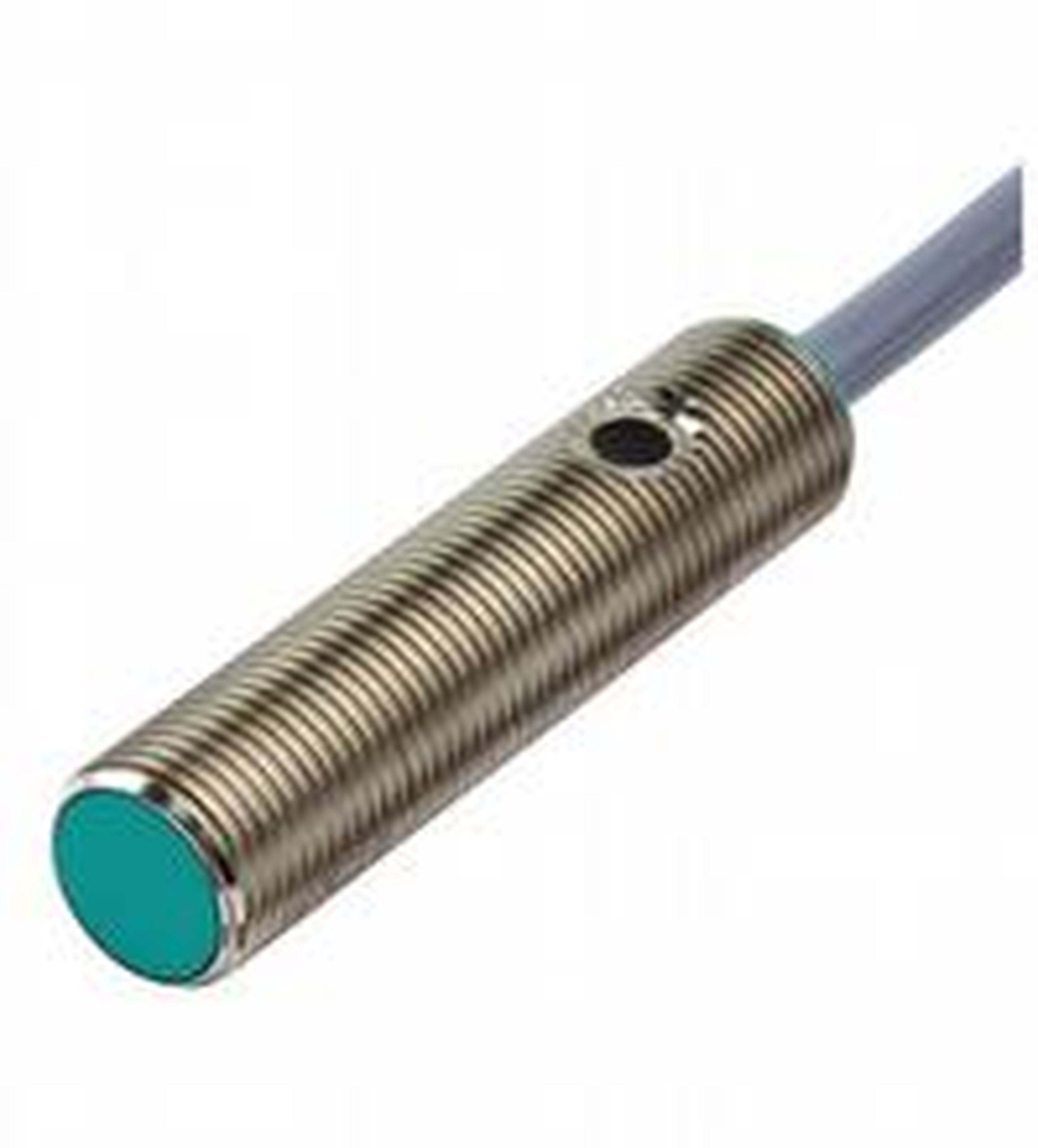 Pepperl Fuchs - Inductifs AC NJ2-12GM50-WS-5M