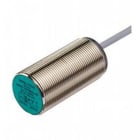 Pepperl Fuchs - Inductifs DC NEB22-30GM60-E0