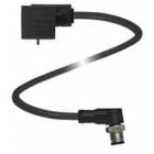 Pepperl Fuchs - Connecteurs V3-GM-OR0,5M-POC-V11-W