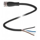 Pepperl Fuchs - Connecteurs V1-G-BK5M-PUR-Y70100962