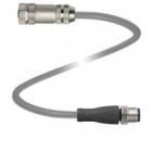 Pepperl Fuchs - Connecteurs V19-G-2M-PVC-TP-V19-G