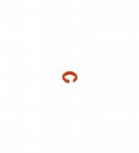 Pepperl Fuchs - Accessoires V1-MARKING-RING-ORANGE