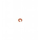 Pepperl Fuchs - Accessoires V1-MARKING-RING-ORANGE