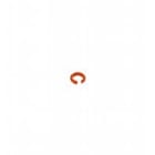 Pepperl Fuchs - Accessoires V1-MARKING-RING-ORANGE