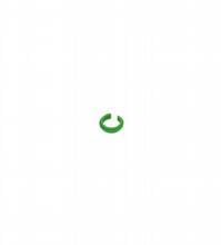 Pepperl Fuchs - Accessoires V1-MARKING-RING-GREEN