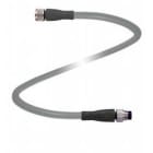 Pepperl Fuchs - Connecteurs V31-GM-1M-PUR-ABG-V31-GM