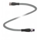 Pepperl Fuchs - Connecteurs V31-GM-0,8M-PUR-ABG-V31-GM