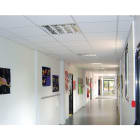 Frico - Module Sertifibre Board Thermatex Ntr