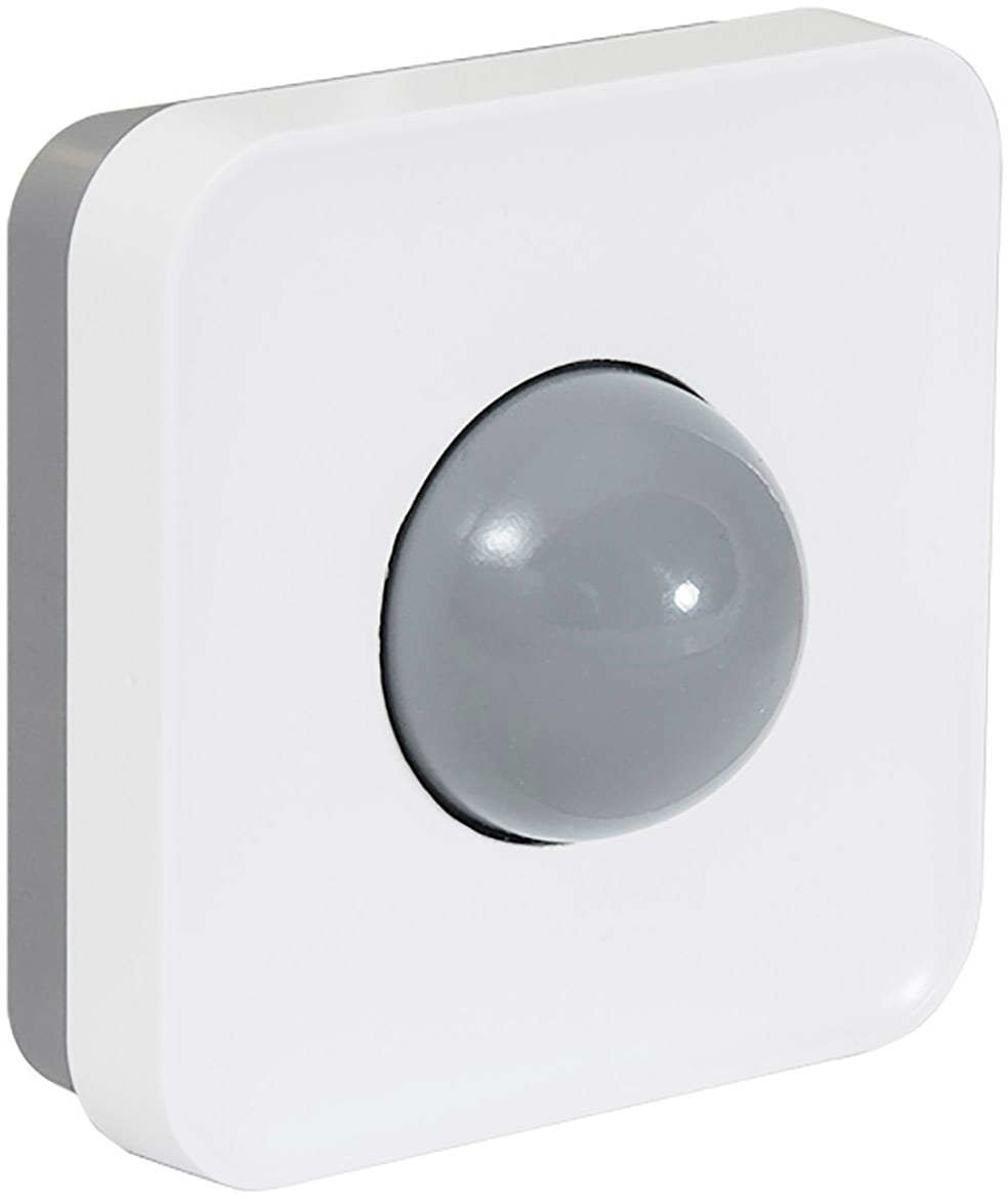 Frico - Sonde à boule noire pour boitier de commande FC