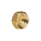 PB Tub - Bouchon laiton F1" pour portée plate