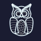 Festilight - VICTOR -Hibou motif impression 3D - H85xL62cm - NEON BLANC FROID - 230V