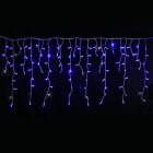 Festilight - Rideau stalactite, Authentic, H.0,80xL.4,50m, caps D8mm, 280 LED bleu pet