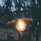 Festilight - MONTMARTRE-Lot 10 Coupelles noires ondul. guirl. Montmartre (61550-9/-M)-à fixer