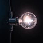 Festilight - Lot de 6 ampoules de remplacement pour guirlande OPRERA- Filament blanc froid