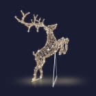 Festilight - ECLIPSE - Renne bondissant H3M30xL2,2M - 1120LED Blanc chaud pétillant -230V