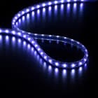 Festilight - STRIP LED-Cordon Touret 30m-60 LED/m bleu Strip led