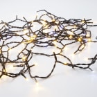 Festilight - Kit de démarrage, Guirlande, gamme 80V, LED blanc chaud pét, L.2x10,0m, 80V