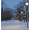 Vignette Photo produit ambiance 2