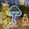 Vignette Photo produit ambiance 2