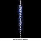 Festilight - BOA - Guirlande Boa Comète - H10M - 500 LED blanc
