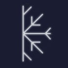 Festilight - Snowflake Néon-Motif poteau H1,8mx0,9m,Cordon néon blanc, 230V