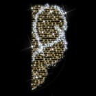 Festilight - BRILLANT -Motif H2,50m x L1m, LED blanc/blanc chd