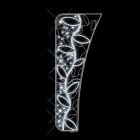 Festilight - SUZIE-Le Motif Français, motif poteau H2mxL0,8m, LED blanc pétillant