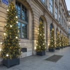 Festilight - Guirlande Moon, L.10m, blanc, 230V