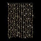 Festilight - Master-Rideau droit-H.3xL.2M-480 LED blanc chd pét-caps Ø8mm-230V