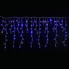 Festilight - AUTHENTIC-Rideau stalactite, H.0,80xL.4,50m, caps Ø8mm, 280 LED bleu pét