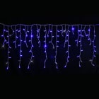 Festilight - AUTHENTIC-Rideau stalactite, H.0,80xL.4,50m, caps Ø8mm, 280 LED bleu pét