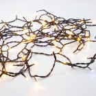 Festilight - Kit de démarrage, Guirlande, gamme 80V, LED blanc chaud pét, L.2x10,0m, 80V