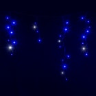 Festilight - Rideau stalactite, Kit de démarrage, LED bleu pét, H0,60xL2x5,00m, 80V