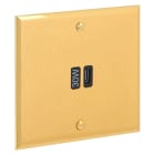 Legrand - Prise 1 USB Type-C 3A 30W rapide - Mémoire Or Brossé Art d'Arnould