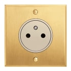 Legrand - Prise de courant 2P+T Surface 16A 250V - Mémoire Or Brossé Art d'Arnould