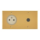 Legrand - Prise 2P+T 16A 250V + Prise TV simple - Mémoire Or Brossé Art d'Arnould